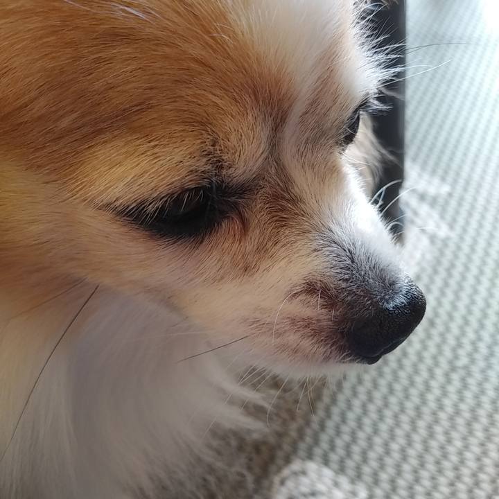 C913e1aa 48af 4c09 a2d4 603ffc011ca6 1539825678171