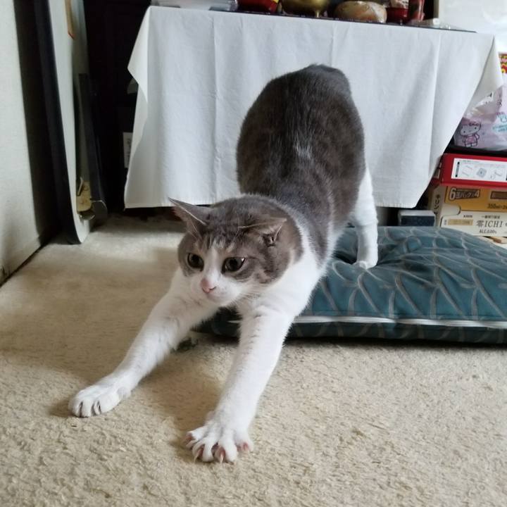 C91416a4 6e88 4517 913a 0f18875525fe 1514904752835