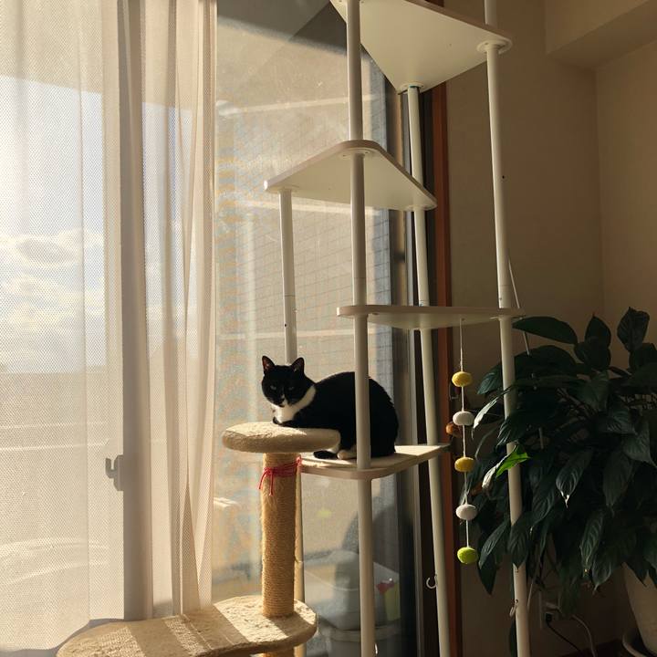 C9144230 3c6e 4bf5 98f5 dba28bdb0b11 1513495415196