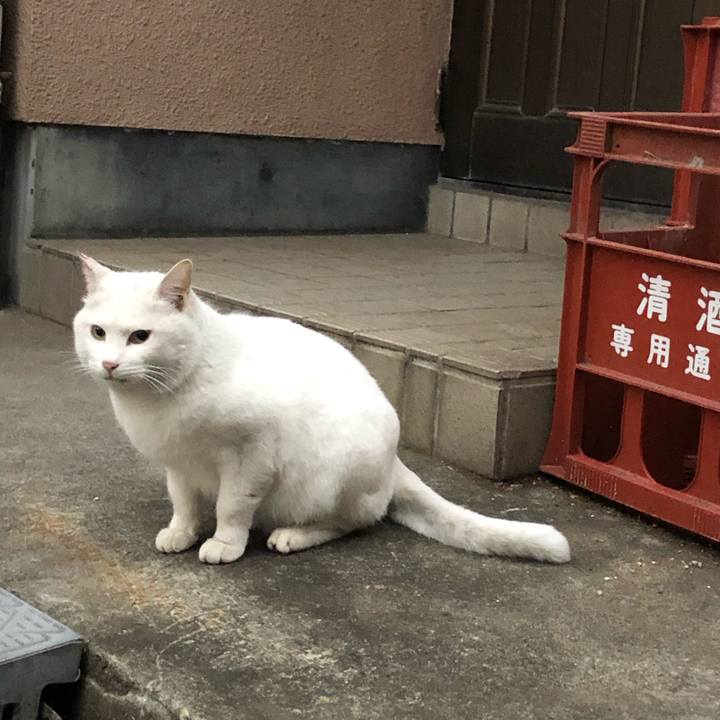 C91453ef 9570 45e1 a24c 075db6da3e48 1542891603904