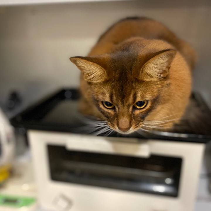 C914551a 2290 4062 a518 9925c37960ab 1643537828332