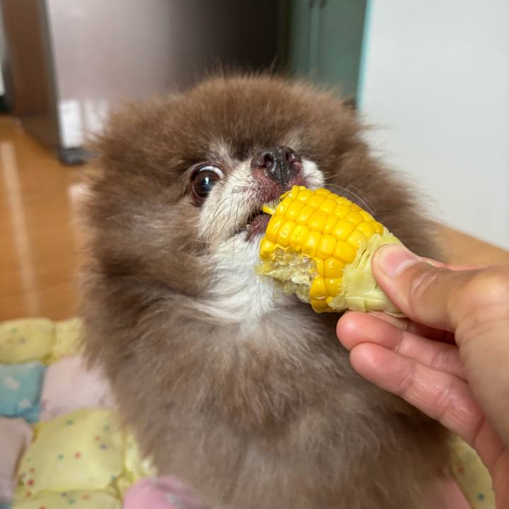 C91474fb 7665 44b7 98a0 d702f49e459a 1752709351204