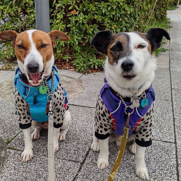 C9149207 fff5 4fa8 a53b b842c0089323 1648595208785