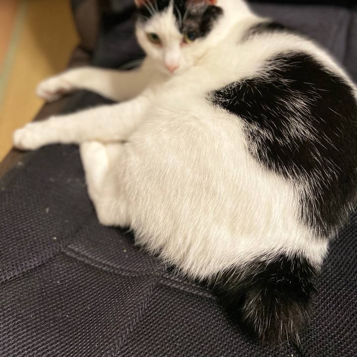 C914a834 acbb 4efe a300 61744ae3d6b4 1577529764614