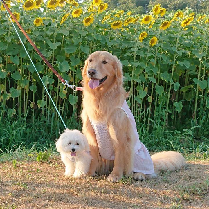 C914b45d c201 43c0 a2b8 9430d044142c 1565436733761