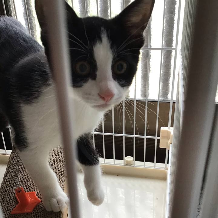 C914b45e 0890 4a78 8411 98cfd381a56e 1626230137736