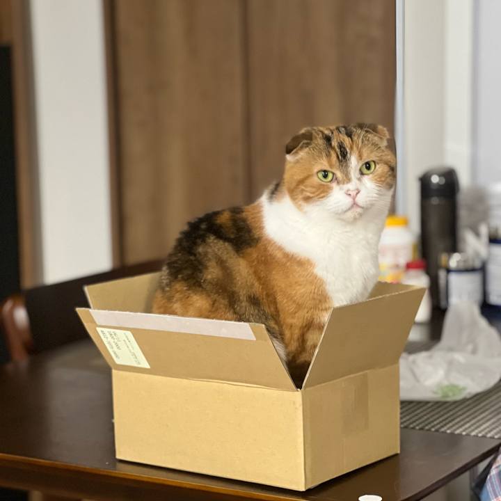 C914c6c1 efdc 4555 bbdc b38ff2ba88e2 1654936452262