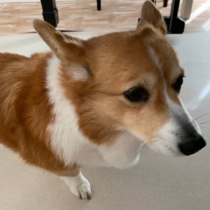 C914f1c0 4cfc 4005 b0ce e702d7fe99af 1676681131354