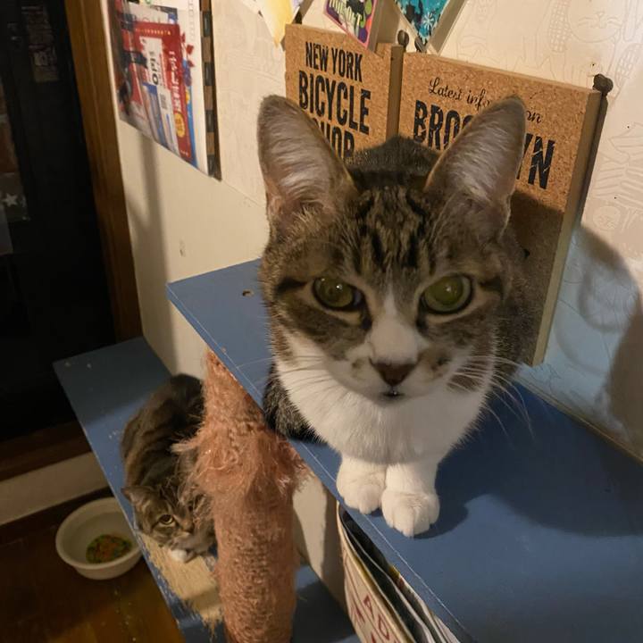 C914f831 b6a3 48f8 a6f6 10938d19aca7 1646404216584