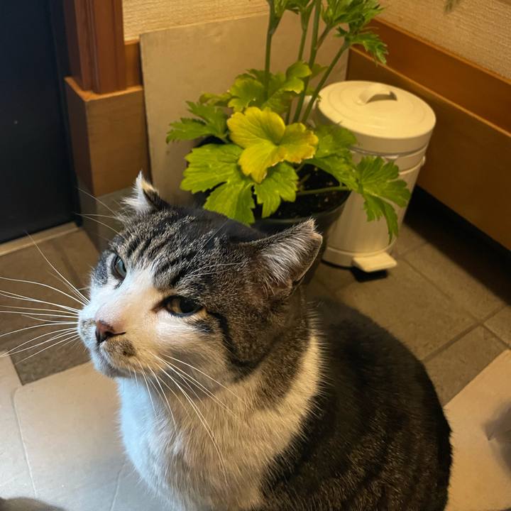 C9151c88 564c 4d67 aaff e4aceeccb186 1644471325759