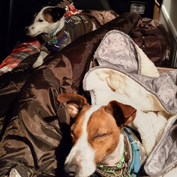 C9155fbf 6da9 42b0 bba5 23726b04e472 1635028083235