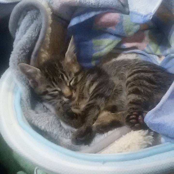 C9156d0e 102c 409f ab1c ee4a8f69239d 1571487021884