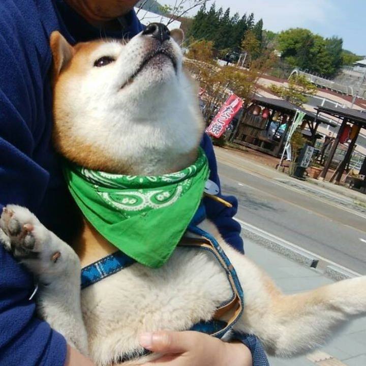 C915b48b f478 439c 8ab8 6a3df4d79928 1567781831502