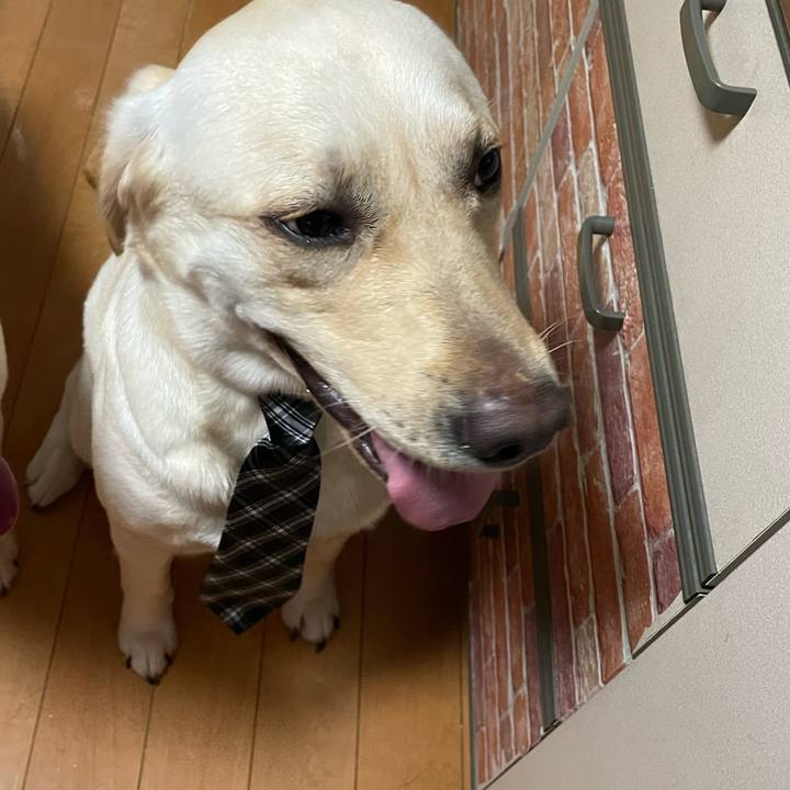 C915dd36 71a9 4552 a9a5 397e95563335 1654788310434