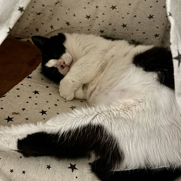 C915e63b 300a 4fca 8605 97bb25c37542 1641817740695