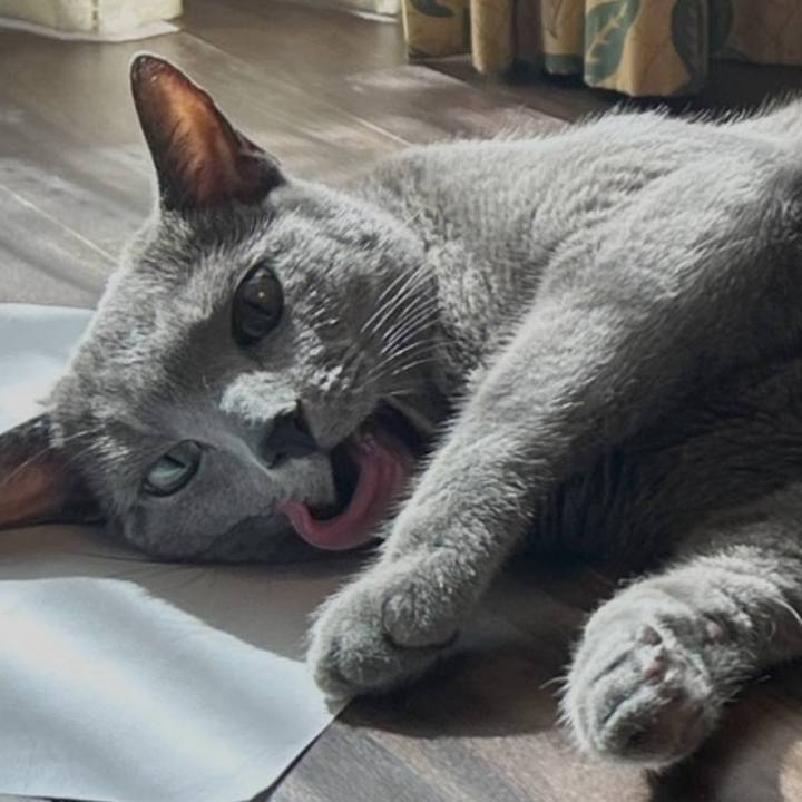 C9160642 641f 428c bebe 4b71f464f72d 1746741919355