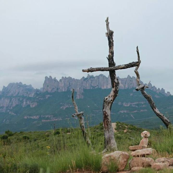 C9167e6e 4a9d 4244 8b8e e66d62564de4 1591887515973