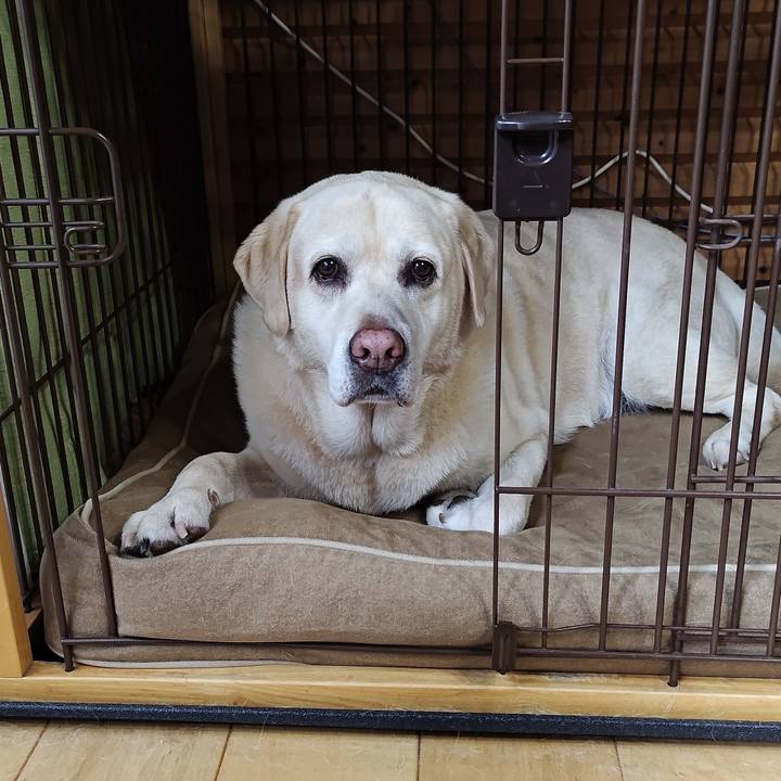 C916a288 5e9a 4642 ab83 4520f45983dd 1757061202735