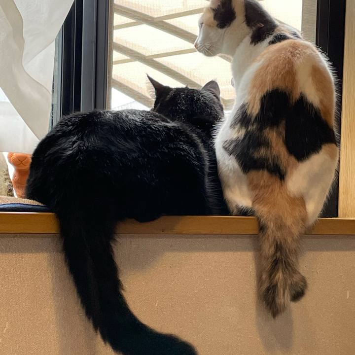 C916b23c 27d9 4fb0 9b35 1c9ba2d9d050 1693782380325