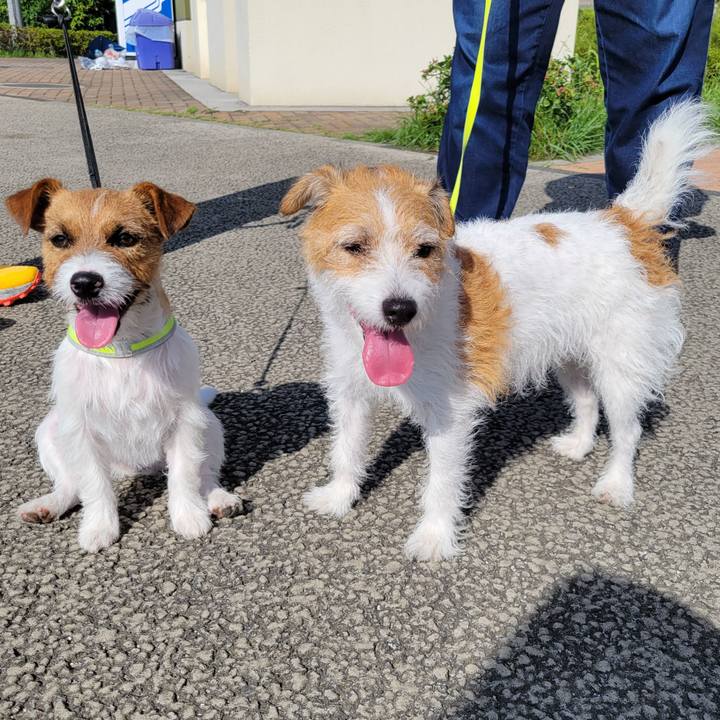 C91733a3 66c7 4730 a8df b058c9c2f389 1695945984912