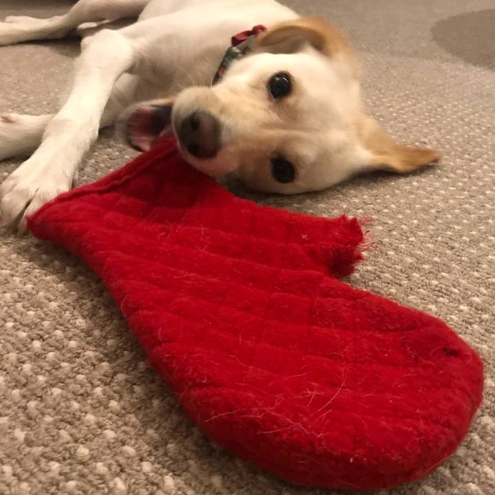 C917565e 63a3 49f7 90c8 94b60a009ef1 1531317031620