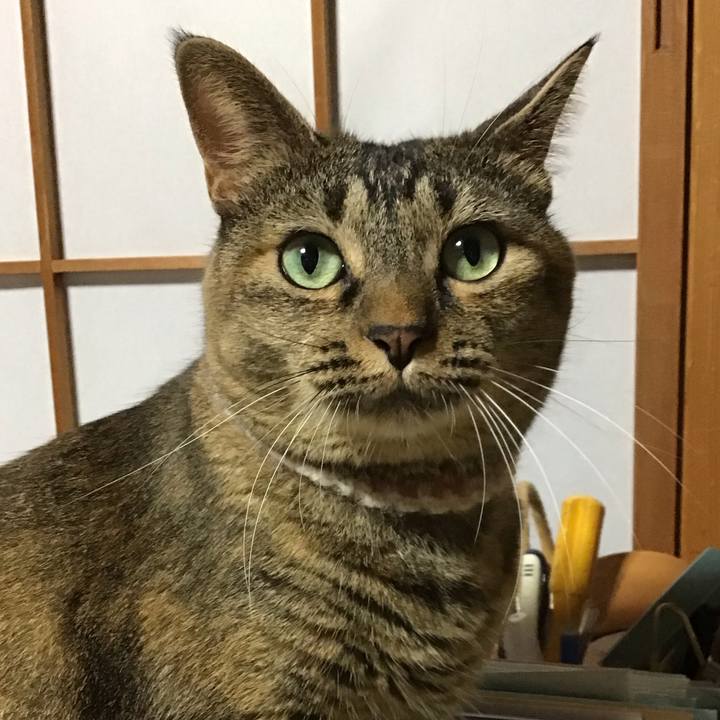 C9179fae 8a7d 41f7 b2b2 324a36bb6082 1695732248190