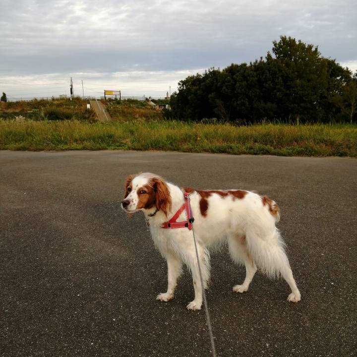 C917a8a3 78ff 4940 9768 b74f424be900 1602807555660