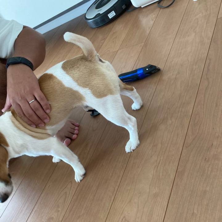 C917e08b f2fc 4076 819e 2ee2dca35478 1601171844651