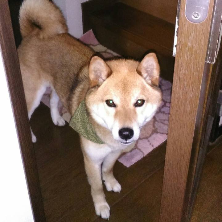 C917e18e bcc3 4309 8c73 b596aab65004 1527159266666