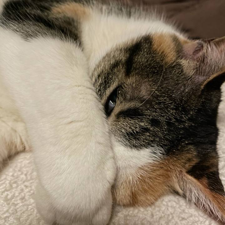 C917f356 db5e 47a3 91b8 ab8af8596c04 1644445465481