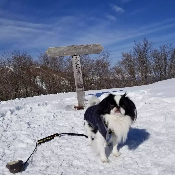 C9181c1d ffc1 422a 80d5 e383e69eea31 1673612357013