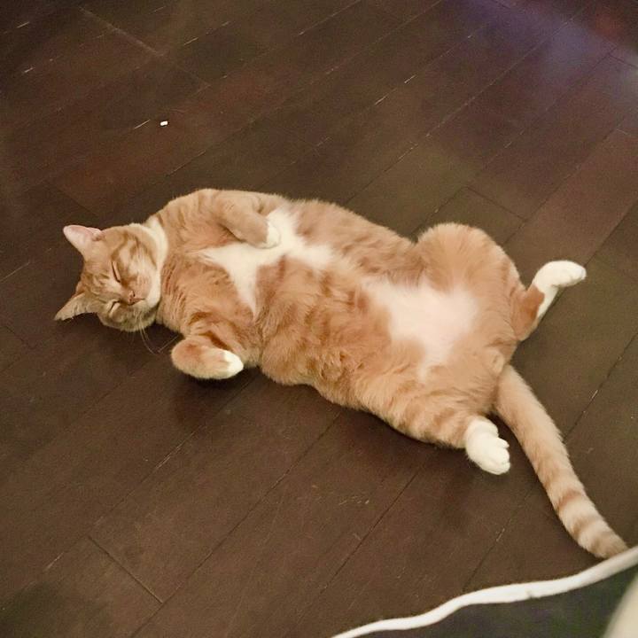 C91826a6 8e0a 486d 83b6 1c414cbbccb5 1667492526414