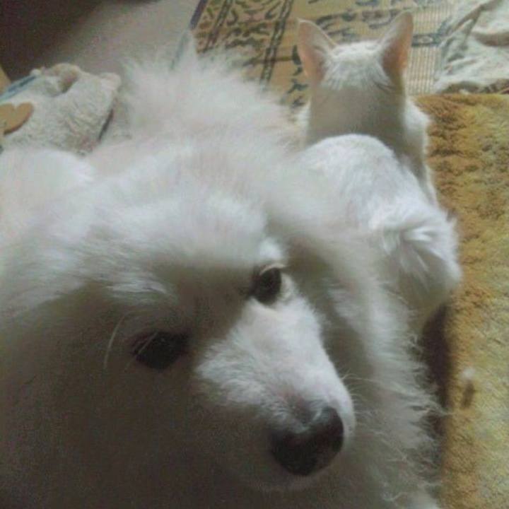 C91826c3 2a80 4069 9201 cf27499dea92 1682118393060