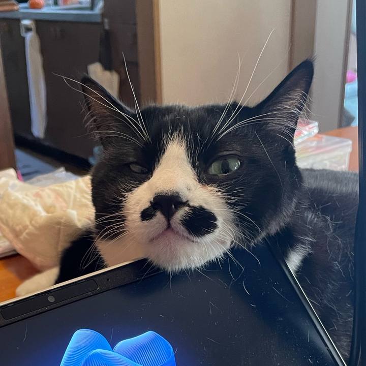 C918399b bc23 4977 9dc2 1d9fa24fde49 1733011275207