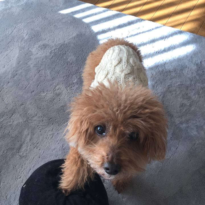 C9184519 8044 4d4b 972e 581ada9702fb 1583452512909