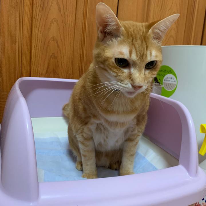 C9189654 a964 4b62 89f3 7041a32aa722 1613511338647