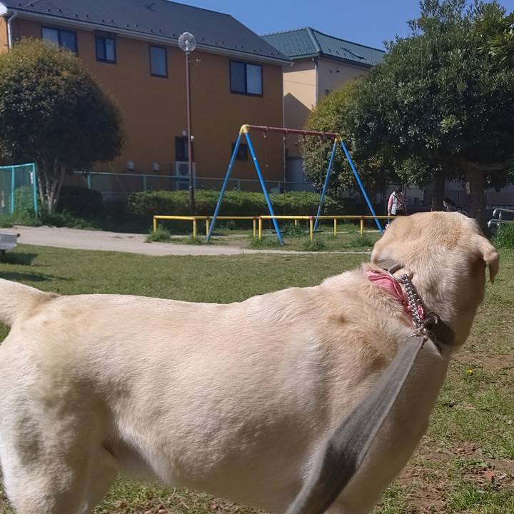 C918b227 d66c 4bc0 8805 b91a2b20b085 1586395045313