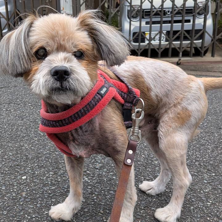 C918d0cf cdda 42e1 a8bc 1b9bd60182c0 1762990323679