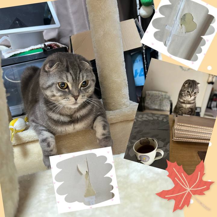 C918e016 3348 40ba b464 d7c15c1d15c8 1638337967917