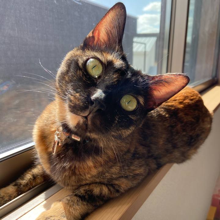 C918ed9c 0205 4361 b1c3 f28f8cc151dd 1571112267510