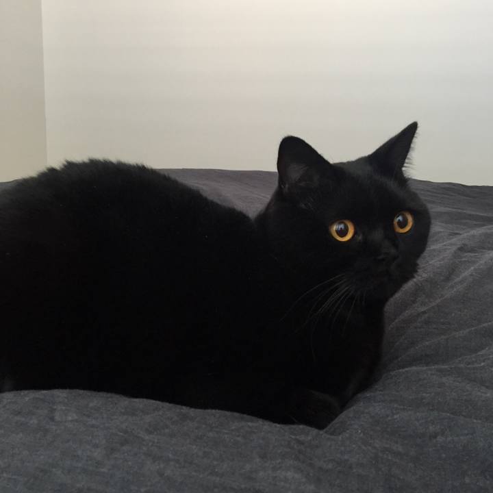 C9190752 7e5e 48eb 81fd 40ebe8847ab4 1541548918457