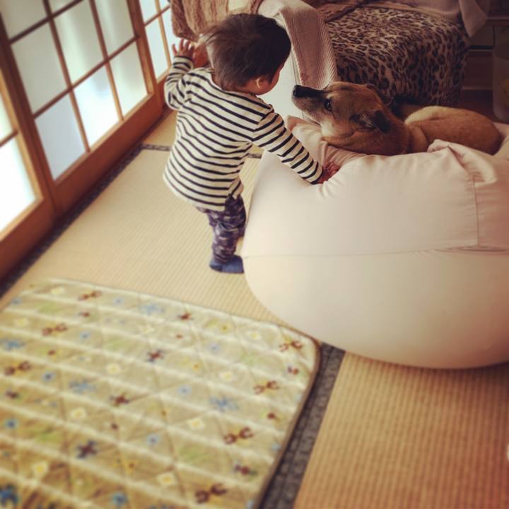 C9191f65 095c 4cfb a762 2be01e3d9991 1575787382924