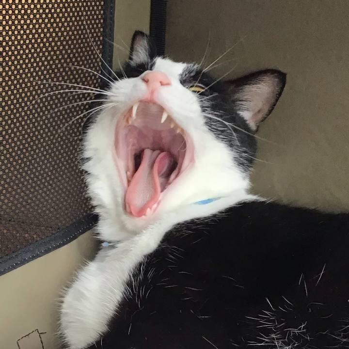 C9193f9a 44c6 40ec 9d8f 2c1b40f21f14 1719305806523