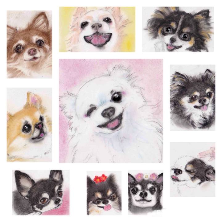 C9194f2f f5ac 47e6 9eca b30464f6da3c 1642381609131