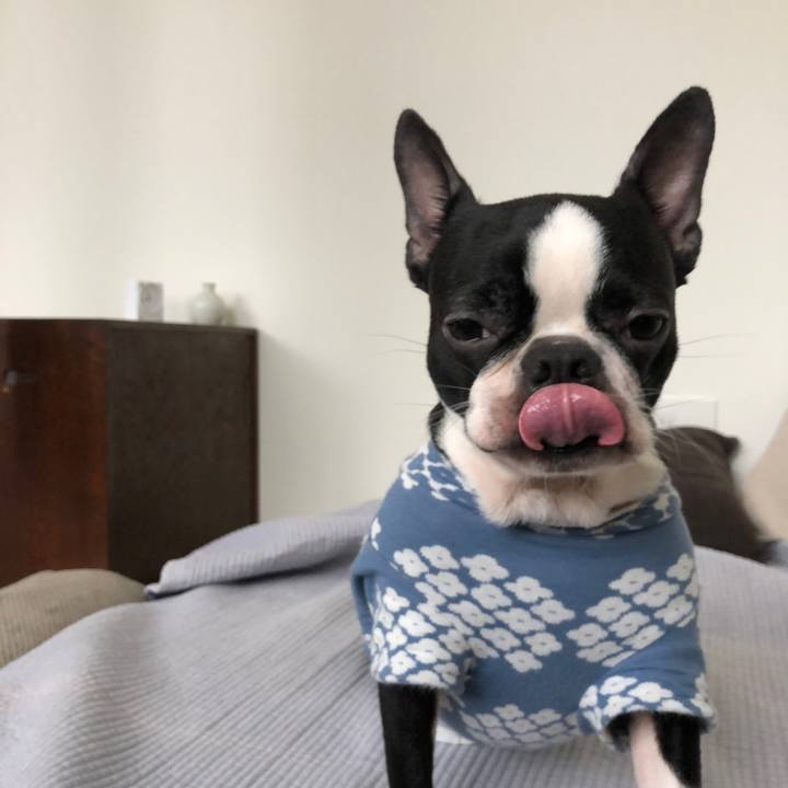 C91985e6 67bc 47a4 b6e4 98626e19ead1 1519350960883