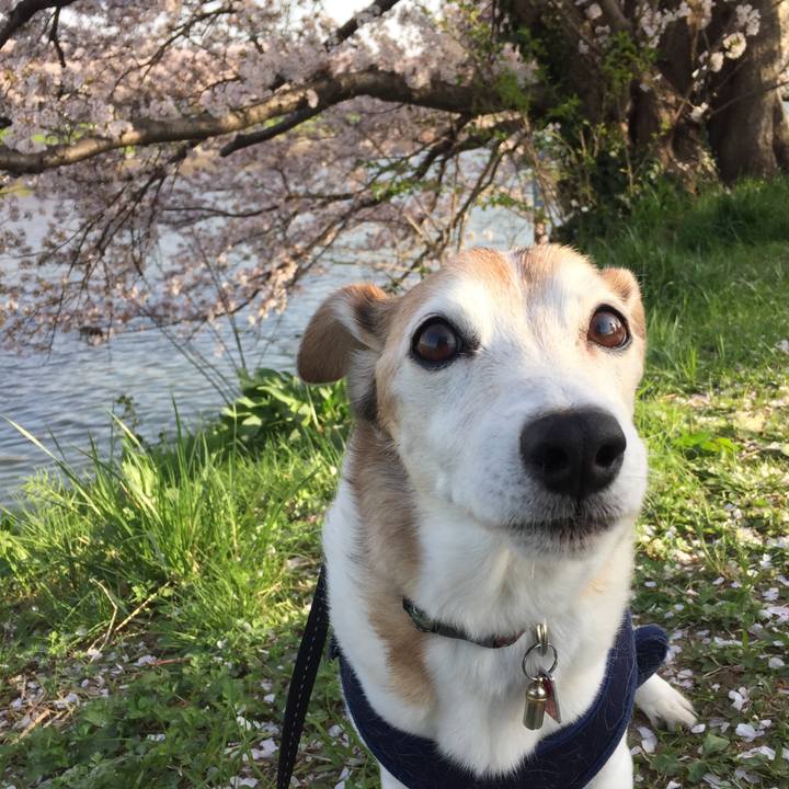 C919a262 00b3 4d1d b277 6d6b51fccf3d 1522623256144