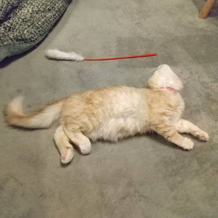 C919e321 dfc7 4db1 97e8 c1b41d441adc 1607954821910