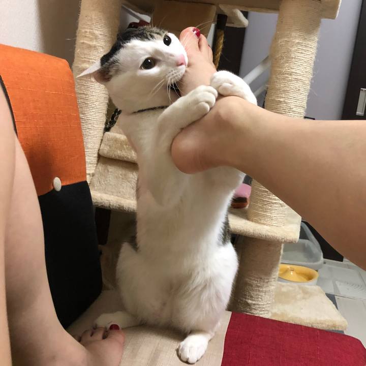 C91a0acd c570 409c 839b 4fa64f635319 1526302868487