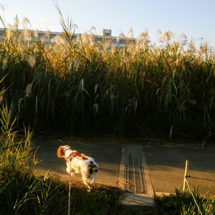 C91a58b4 01ba 41bc 9c83 e786d77684ea 1540776203983