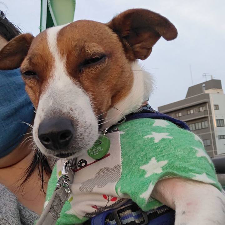 C91a5cc3 07b2 4784 857c 1663bfc109d1 1620124502578